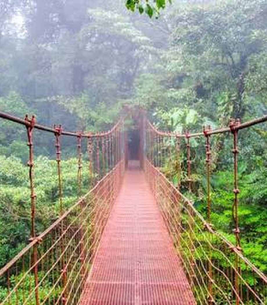 A hanging bridge in the cloud forest of Costa Rica