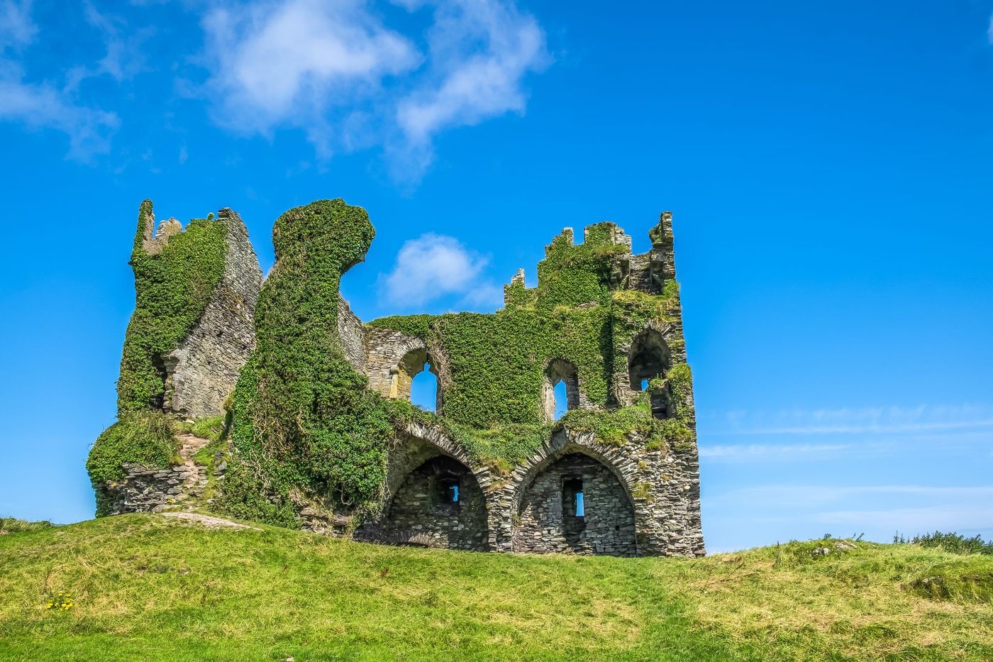 A ruined castle covered in ivy above green fields in Ireland