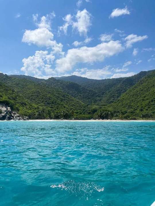A turquoise Caribbean bay with a palm-lined beach