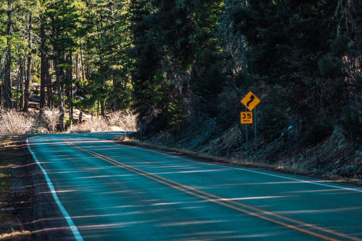 A two lane road curving through a pine forest