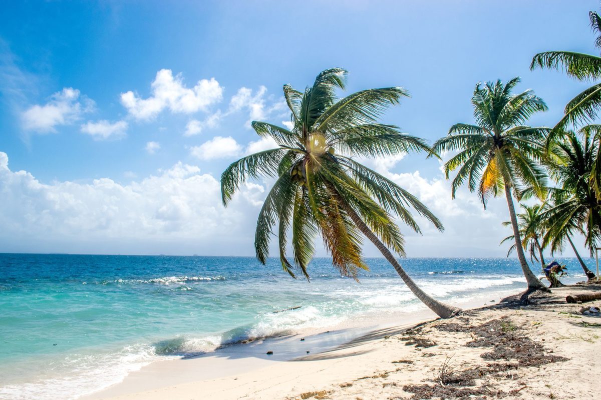 Palm trees leaning over a white sand Caribbean beach